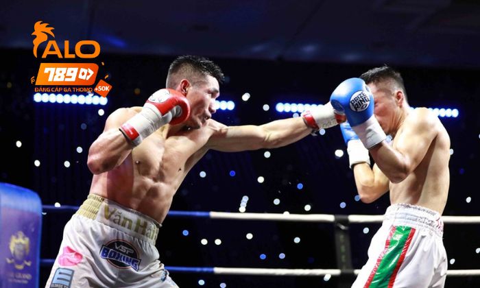 Luật chơi cá cược Boxing online tại ALO789 Luật chơi cá cược Boxing online tại ALO789